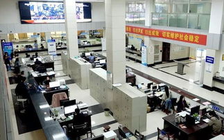 推进互联网政务服务，洪湖办事将像网购一样便捷