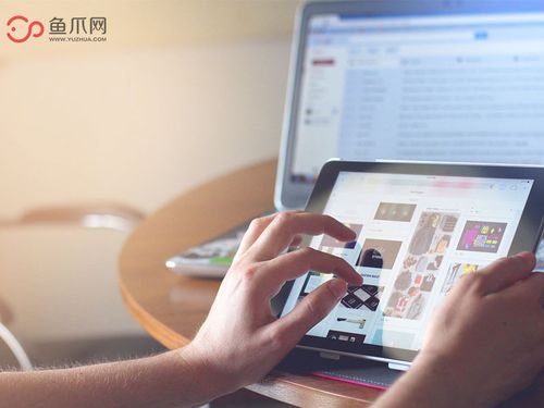 鱼爪网的坚持与发展 个人互联网服务的匠心之路